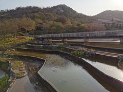 -厦门国家会计学院