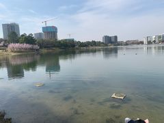 -美兰湖景区