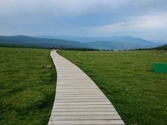 -芦芽山旅游度假区
