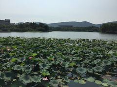 -江南大学(蠡湖校区)