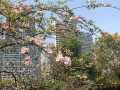 -重庆彩云湖湿地公园