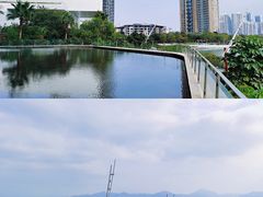 -希尔顿南海酒店·观廊大堂吧·海景下午茶