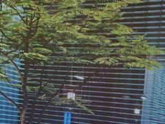 -沐庭影院泰式spa