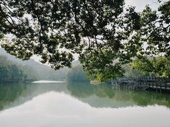 -白马涧龙池景区