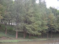 -聚龙山公园