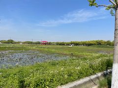 -嘉北郊野公园