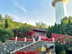 -烟台山景区