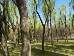 -森林公园(尖草坪区)