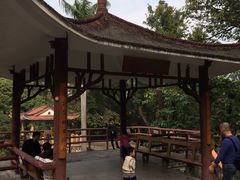 -晓港公园