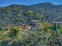 -树山生态村