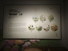 -中国茶叶博物馆(双峰馆区)