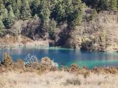 -九寨沟-树正沟