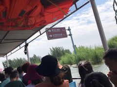 -白洋淀景区
