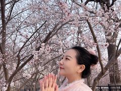 -桃花堤公园