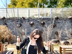 -桃园农庄·桃源宴