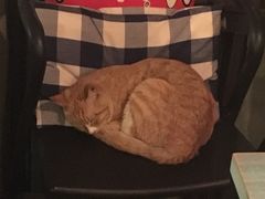 -时光转角咖啡馆(西康路店)