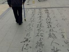 -成都市活水公园