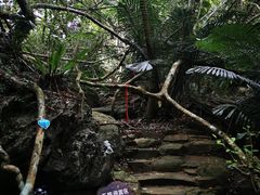 -呀诺达热带雨林