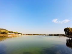 -大兴滨河森林公园