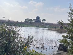 -上海海湾国家森林公园