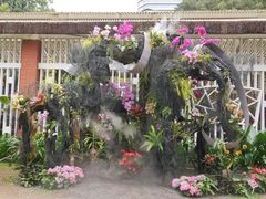 -广州兰圃