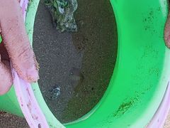 -日照海滨国家森林公园