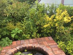 -三鹰之森吉卜力美术馆