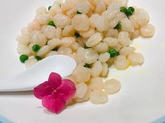 -同庆楼(滨湖万达广场店)