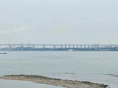 -八仔大富楼·河鲜(西江店)