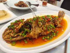 松鼠桂鱼-玉华台饭庄·淮扬菜·烤鸭(望京店)