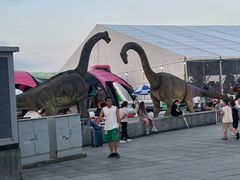 -东港音乐喷泉广场