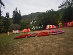 -青青世界