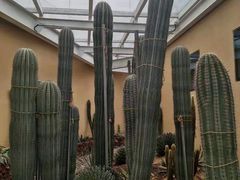 -正佳雨林生态植物园