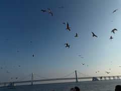 -星海广场