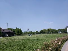 -苏州太湖湖滨国家湿地公园
