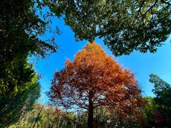 -白马涧龙池景区