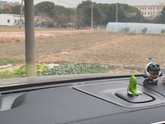 -胜丰草莓采摘园