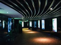 -上海金逸影城(静安大悦城店（原新恒星影城）)