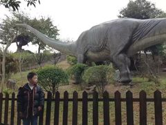 -自贡恐龙博物馆