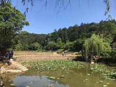 -韶山毛泽东同志故居