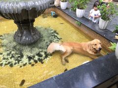 -火车头法国西餐厅