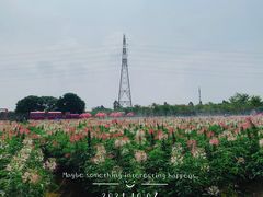 -盈香心动乐园