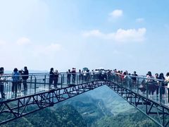 -梦幻奥陶纪景区