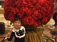 -香港皇家太平洋酒店