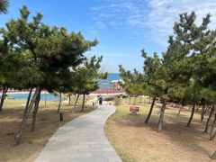 -养马岛旅游度假区