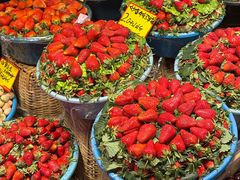 -五里多农博广场