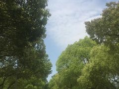 -白塘生态植物园