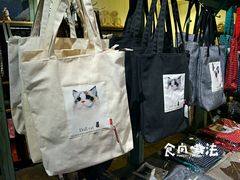 -猫咪博物馆(顶澳仔猫街店)