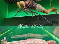 -杭州工艺美术博物馆