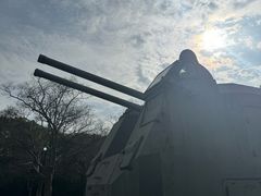 -上海吴淞炮台湾国家湿地公园